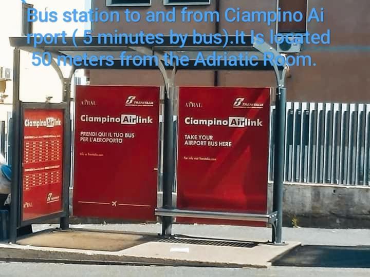 Adriatic Room 50 M Dalla Stazione Ferroviaria Di Ciampino E Dalla Navetta Aeroportuale المظهر الخارجي الصورة